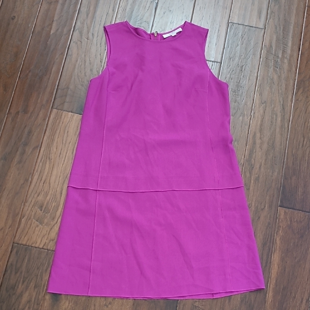 Ann Taylor LOFT Fuchsia Sleeveless Dress size 12